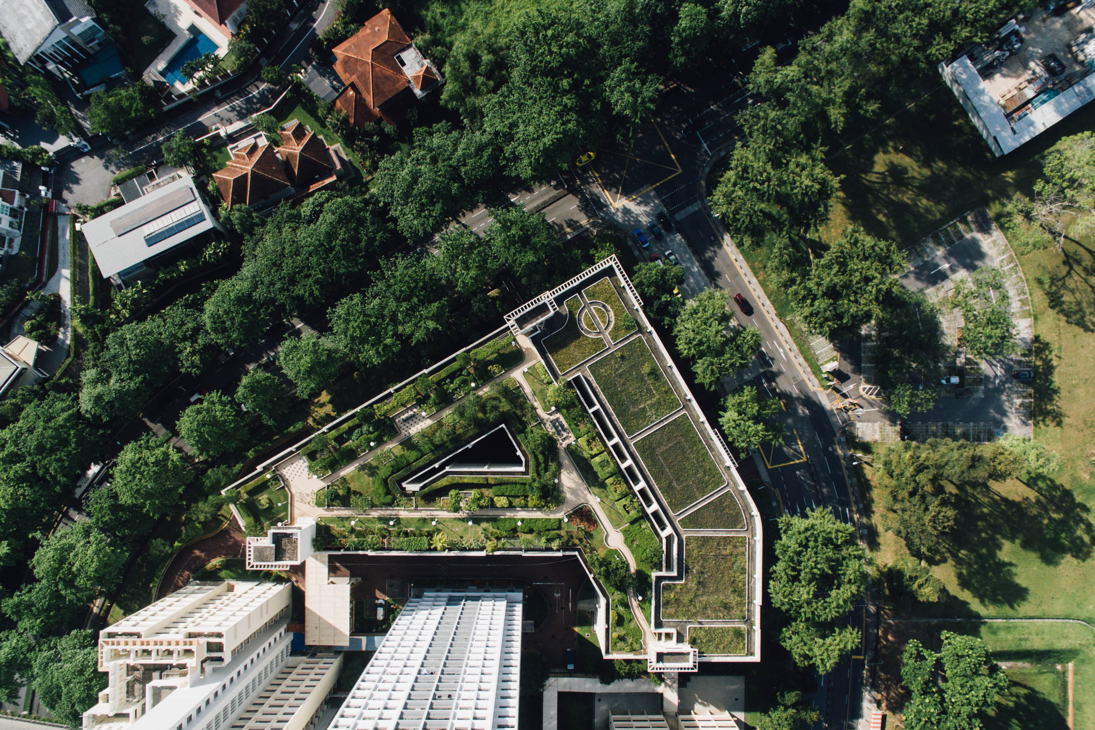 An aerial view of HDB housing and trees in Holland, Singapore